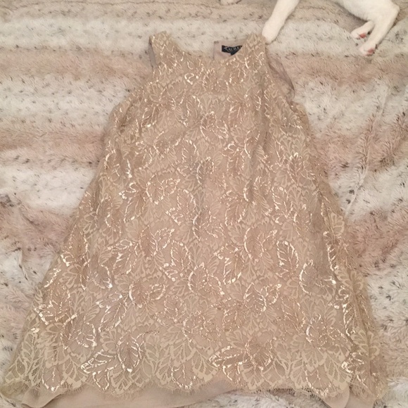 Ralph Lauren Tan and Gold A-Line Mini Dress - Picture 3 of 12